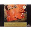 Rembrandt Toned 180 g