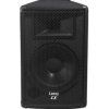 Laney Passive Loudspeaker