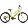 DEMA Vega 20" 2020