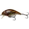 Goby Goby