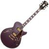 D'Angelico Deluxe SS Stop-bar Matte