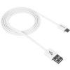 Canyon 100 cm USB Cable