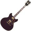 D'Angelico Deluxe DC Stop-bar Matte