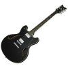 Schecter USA