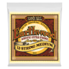 Ernie Ball Earthwood 12