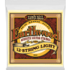 Ernie Ball Earthwood 12