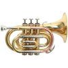 Roy Benson Bb Trumpet