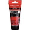 Amsterdam Acrylic Paint 75 ml