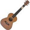 Aiersi Tenor