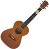 Aiersi Tenor