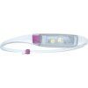 Knog Quokka Headlamp