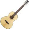 Framus FP 14 SV VSNT Vintage Transparent Satin Natural Tinted