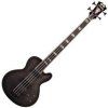 D'Angelico Excel SD