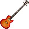 D'Angelico Excel SD