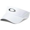 Oakley Bg Game