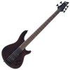 Schecter Omen-5