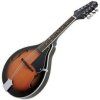 VGS Sunburst