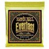 Ernie Ball Everlast