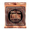 Ernie Ball Everlast