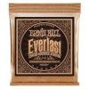 Ernie Ball Everlast