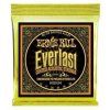 Ernie Ball Everlast