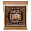 Ernie Ball Everlast