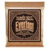 Ernie Ball Everlast