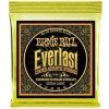 Ernie Ball Everlast