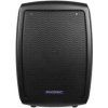 Phonic Smartman Active Loudspeaker