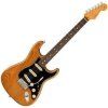 Fender American Professional II Stratocaster RW
