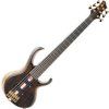 Ibanez Natural Low Gloss