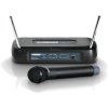 LD Systems Eco 2 HHD MHz