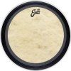 Evans EMAD Drum Head