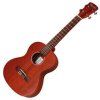 VGS Ukulele
