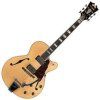 D'Angelico Excel 175