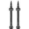Schwalbe Tubeless Valve Pair