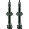 Schwalbe Tubeless Valve Pair