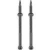 Schwalbe Tubeless Valve Pair