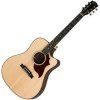 Gibson Hummingbird AG 2019