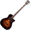 D'Angelico Excel Mott