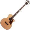 D'Angelico Excel Mott