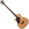 D'Angelico Excel Mott