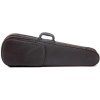 Pasadena Protective case for violin
