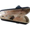 Pasadena Protective case for violin