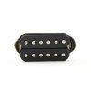 EVH Wolfgang Bridge