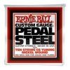 Ernie Ball Pedal Steel