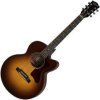 Gibson Parlor AG 2019 Walnut