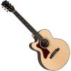 Gibson Parlor AG 2019 Walnut
