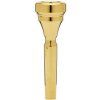 Denis Wick Trumpet Mouthpiece