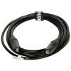 Accu Cable CAT6 CBL Computer cable